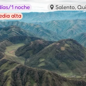Latidos del Machín